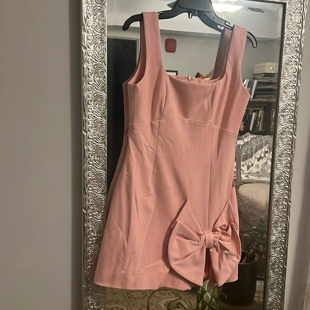 NEW Size Large pink bow mini dress - Picture 5 of 5